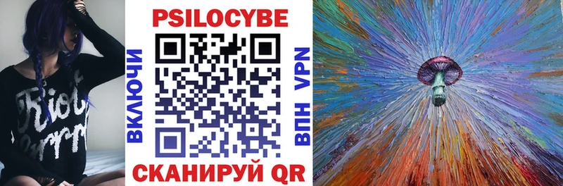 Псилоцибиновые грибы Psilocybe  Купить где  Плёс 